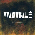 Cover:  Wanubalé ‎– phosphènes