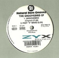 Cover: Natural Born Grooves – The Groovebird EP